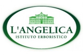 langelicalogo-380x253