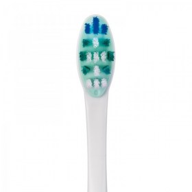 gum-activit4